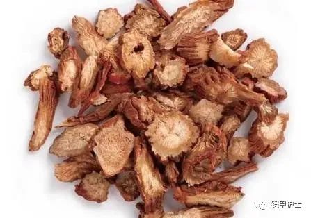 Astragalus: A Treasure for Health, Drinking Astragalus Water May Solve 6 Common Issues