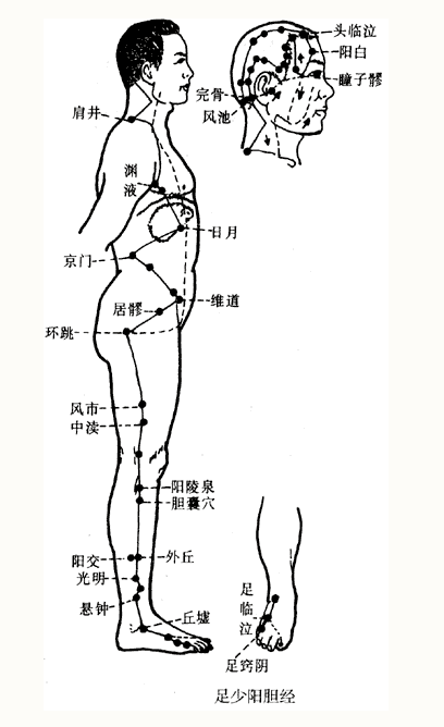 Illustration of the Twelve Meridians