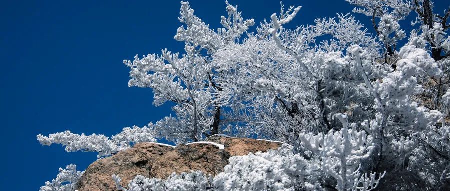 How to Nourish Yin Deficiency Constitution for a Healthy Winter?