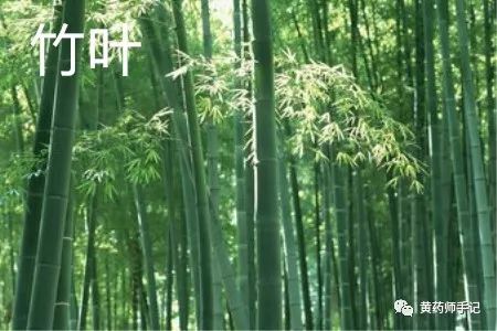 5 Commonly Confused Chinese Herbs: Is Dried Ginger Just Sun-Dried Fresh Ginger? Is Cinnamon the Same as Cassia?