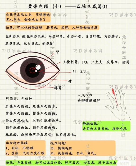 Mind Map of the Huangdi Neijing (Essential Content)