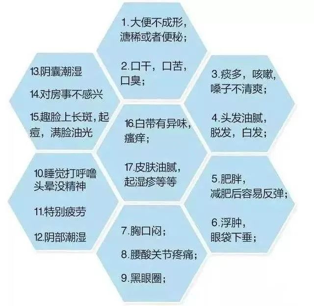 Understanding Phlegm-Dampness Constitution in Traditional Chinese Medicine