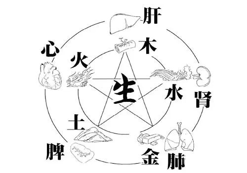 Philosophical Reflections on the Theory of Five Elements: Exploring the Philosophical Ideas and Concepts within the Five Elements Theory, such as Mutual Generation and Mutual Restraint, and the Balance of the Five Elements.