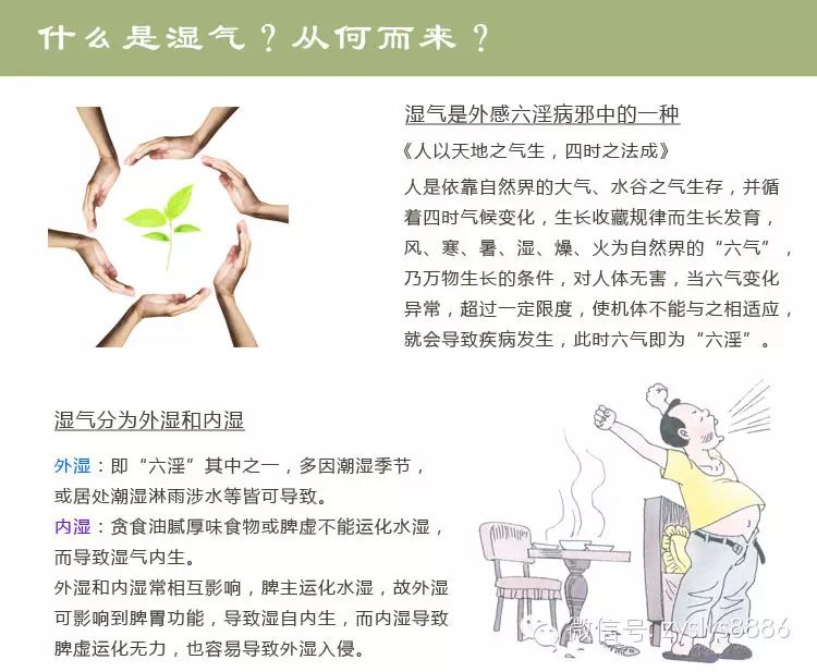 Symptoms and Differentiation of Spleen and Stomach Damp-Heat
