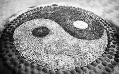 Traditional Chinese Medicine: Achieving Longevity and Health through Yin-Yang Balance with Two Herbs