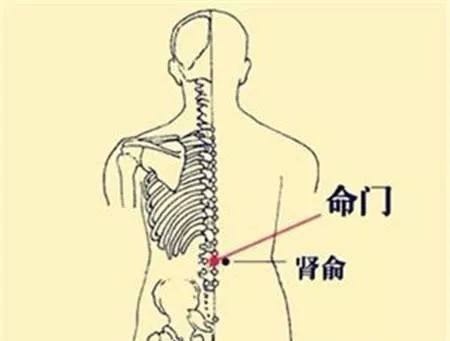 50 Common Acupuncture Points for Treating Various Ailments