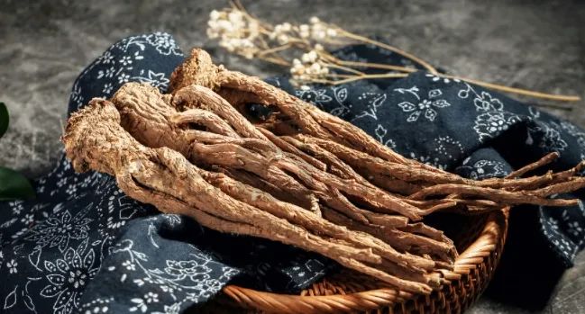 Understanding Angelica Sinensis: Its Processing and Applications