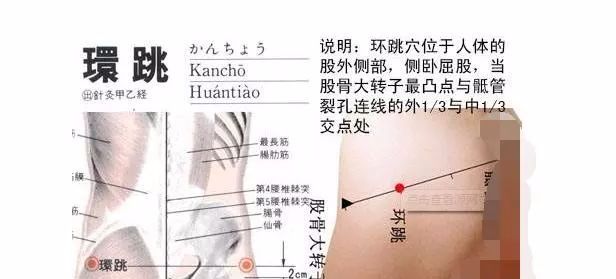 50 Common Acupuncture Points for Treating Various Ailments
