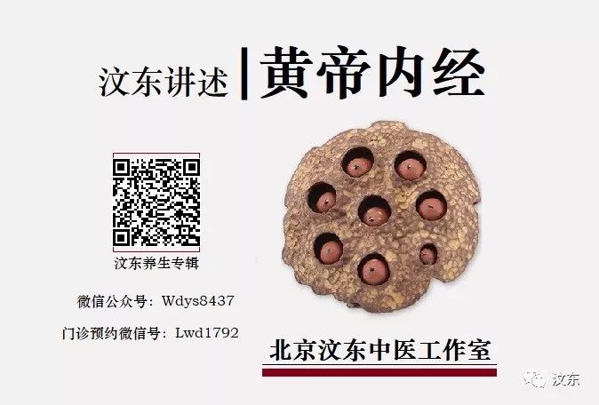 Understanding Qi Deficiency in Traditional Chinese Medicine