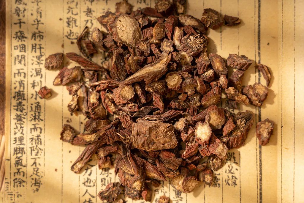 The Efficacy and Uses of Dan Shen (Salvia miltiorrhiza) and Its Proper Consumption Methods