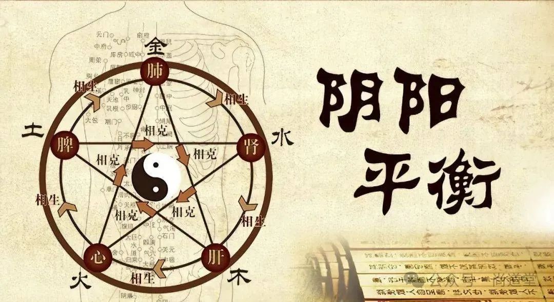 Understanding the Four Major Deficiencies in Traditional Chinese Medicine: Qi Deficiency with Dampness, Blood Deficiency with Wind, Yang Deficiency with Cold, and Yin Deficiency with Excess Heat