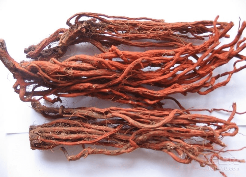 Understanding Common Chinese Medicinal Herbs for Cardiovascular Health