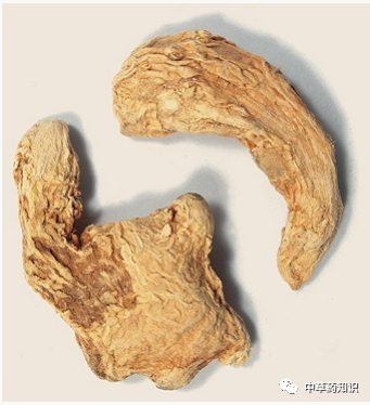 Illustrated Guide to the Shennong Bencao Jing: Dried Ginger