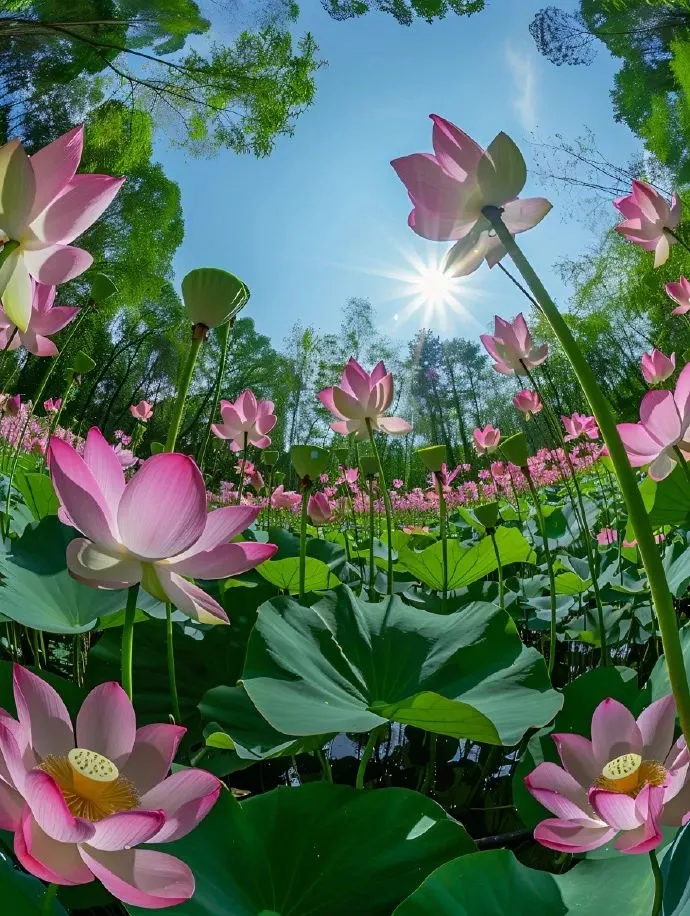 15 Health Tips for Daily Wellness: Learn a Little Each Day for Better Health