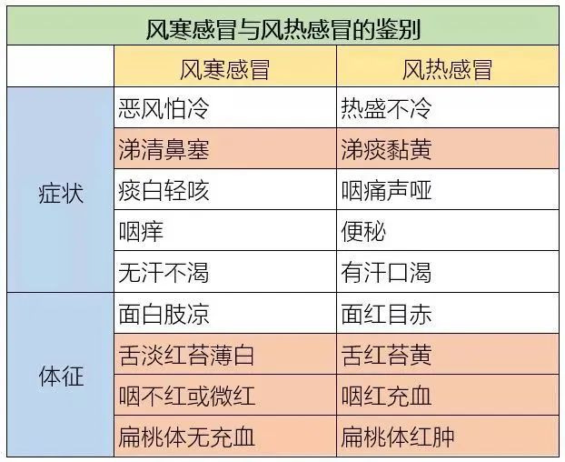 Is the Common Cold Caused by Wind-Cold or Wind-Heat? Understanding These Symptoms for Better Differentiation and Targeted Treatment