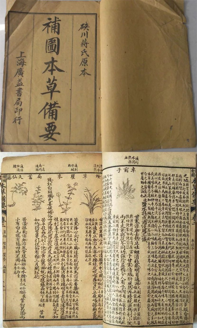 Exploring Traditional Culture | Issue 19: The Historical Transmission of Materia Medica Literature (Part 3)
