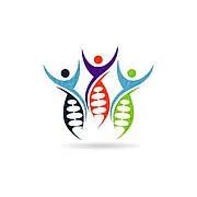 The Interactions of the Five Elements: Generating, Overcoming, Multiplying, and Insulting Relationships
