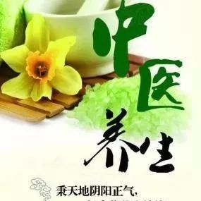 Understanding Rehmannia (Shu Di Huang)