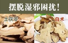 Effective Methods to Eliminate Dampness with Four Traditional Chinese Herbs