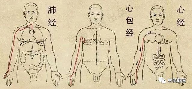 Key Points of Gua Sha