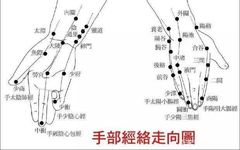 409 Common Acupuncture Points: One Point for One Disease, Learn Acupressure in 5 Minutes