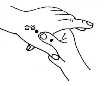 Essential Knowledge of Traditional Chinese Medicine You Must Understand