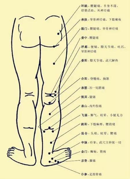 Comprehensive Human Acupuncture Points Chart and Their Functions (A Must-Bookmark)