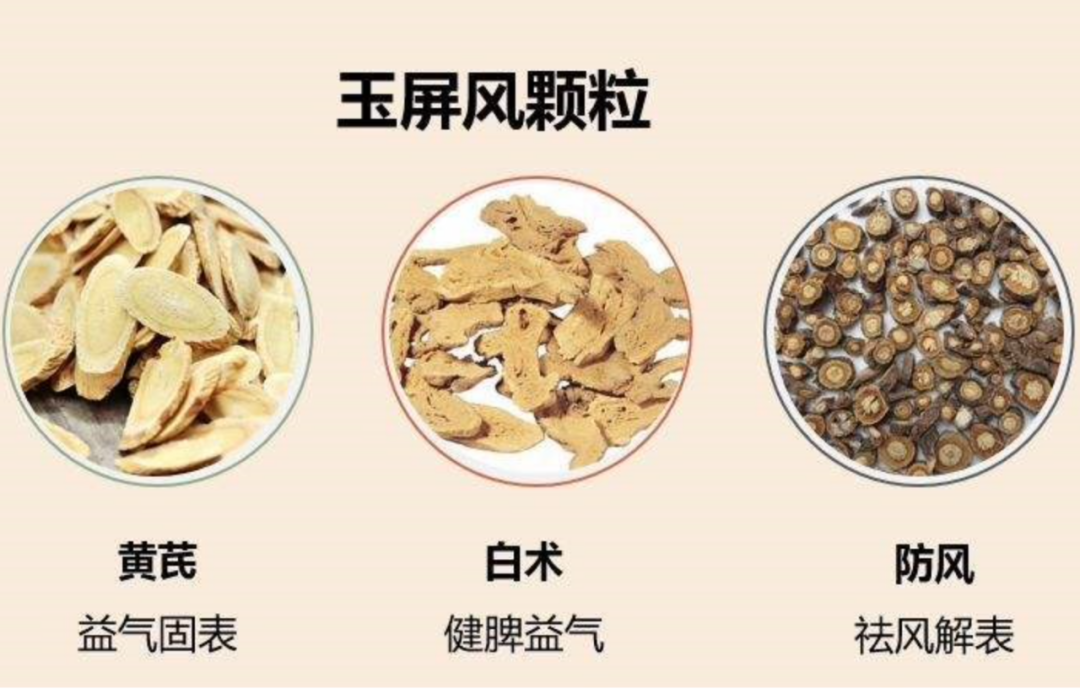 Four Major Qi-Boosting Traditional Chinese Medicine Formulas for Heart, Spleen, Lung, and Kidney Qi: Energize Your Vitality All Year Round