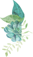 Understanding Chuanxiong (Ligusticum chuanxiong)