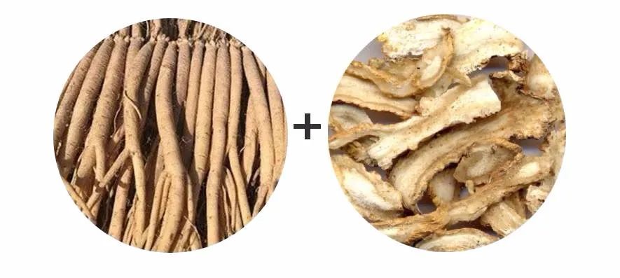 Wild Codonopsis from Changbai Mountain: A Superior Tonic for Qi and Blood!