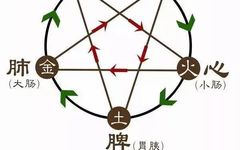 The Comprehensive Discussion on the Interrelationship of the Five Organs: Mutual Generation and Mutual Restraint