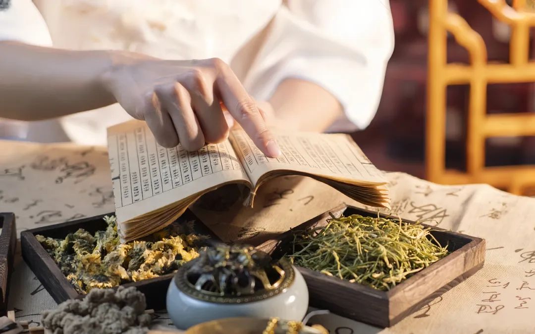 Traditional Chinese Medicine: The Five Major Characteristics of Phlegm-Damp Constitution and Methods for Regulation