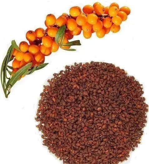 Understanding Kidney Yin and Yang Deficiency: Symptoms and 15 Commonly Used TCM Formulas