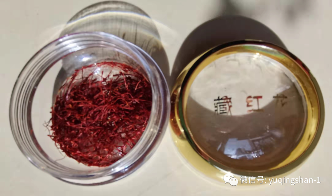 Understanding Chinese Medicine | Honghua (Safflower) and Zanghonghua (Saffron)