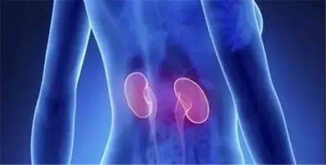Understanding Cold Conditions in the Heart, Liver, and Kidneys in Traditional Chinese Medicine