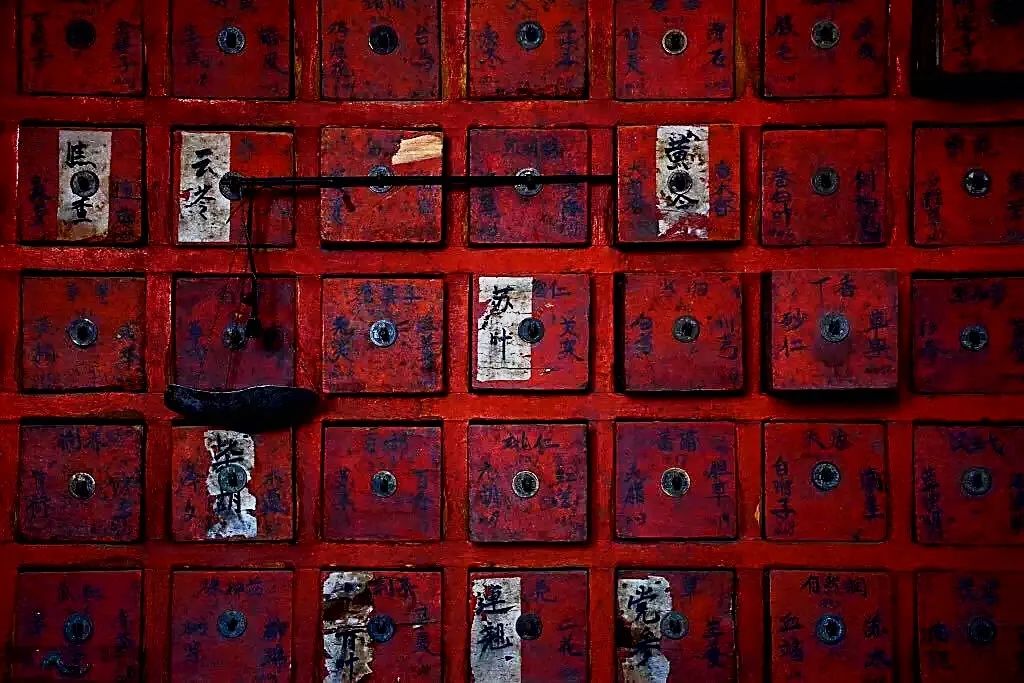 The Significance of the Eight Principles in TCM Diagnosis