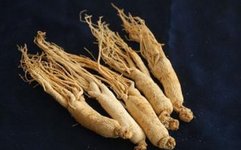 The Efficacy and Distinguishing Features of Codonopsis and Its Clinical Applications