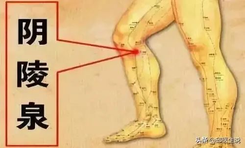 Understanding Different Types of Dampness in Traditional Chinese Medicine: Cold Damp, Damp Heat, Phlegm Damp, and More