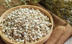 The Charm of Coix Seed | Yiyiren