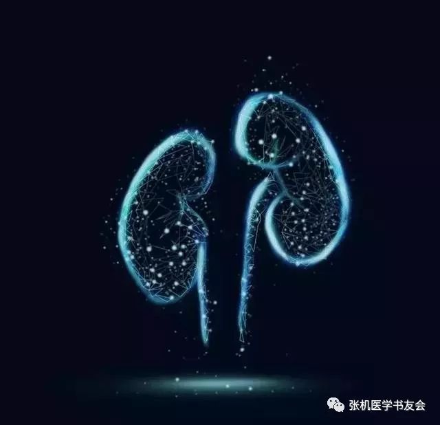 The Official Roles Assigned to the Five Zang and Six Fu Organs in Ancient Chinese Medicine