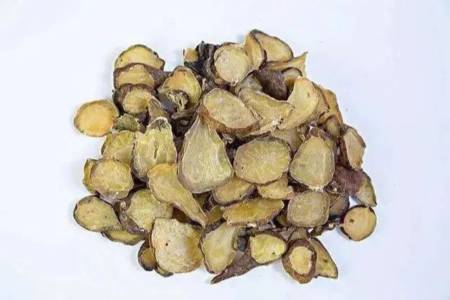 Shennong's Classic of Herbal Medicine - Fuzi (Aconite)