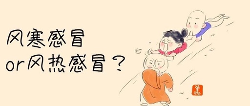 Can Ginger Soup Be Consumed for Wind-Heat Cold?