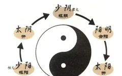 The Eight Principles of TCM Diagnosis (Recommended for Collection)