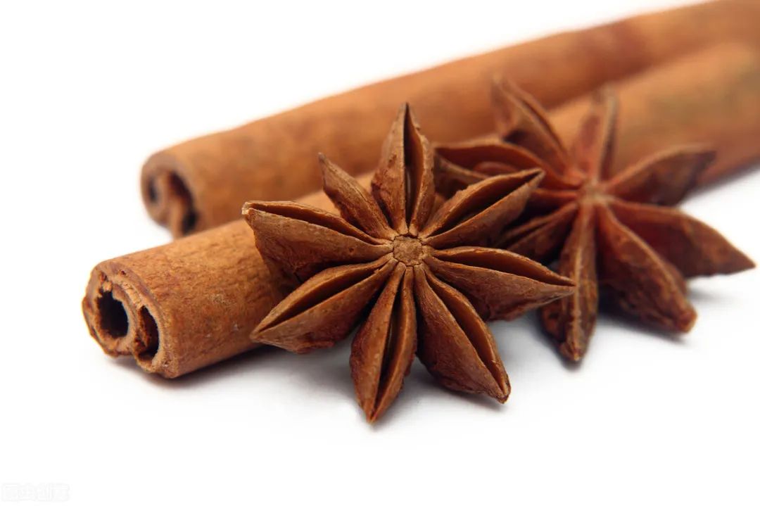 Cinnamon: A Dual-Purpose Herb in Traditional Chinese Medicine