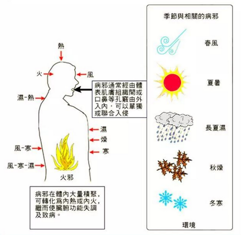 The Six Excesses in Traditional Chinese Medicine