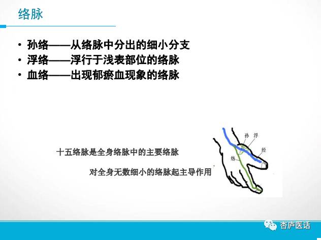 Discussing the Theory of Meridians in Traditional Chinese Medicine - Collaterals, Tendons, and Skin Areas