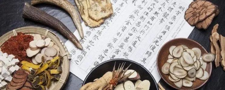 The Five Organs and Six Bowels of Traditional Chinese Medicine: Listening to the Inner Voice of the Body