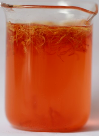 Traditional Chinese Medicine: The Efficacy and Identification of Honghua (Safflower)