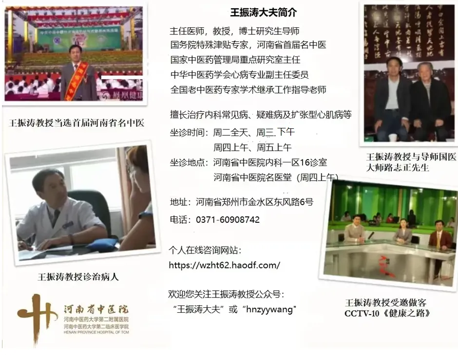 Daily Learning of Chinese Herbs - Honeysuckle