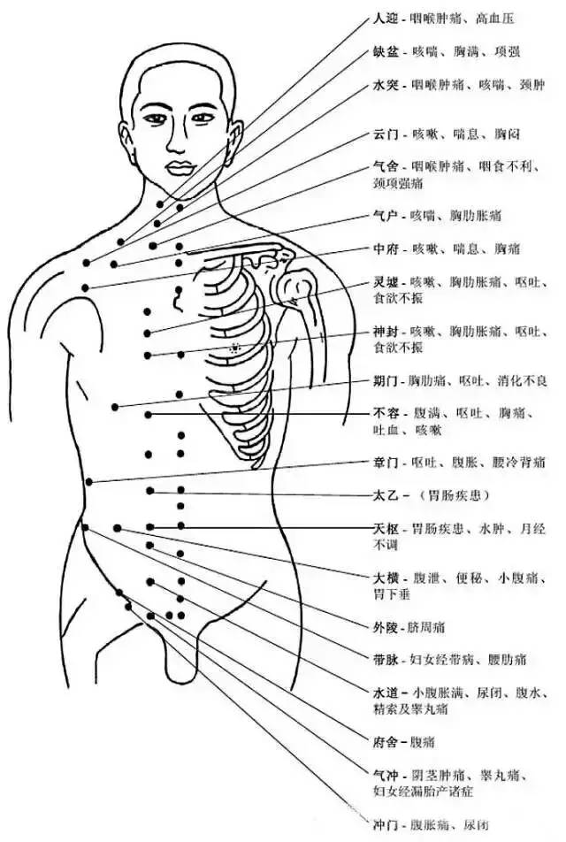 Comprehensive Explanation of Human Acupuncture Points and Their Effects: A Must-Read for Acupuncture Students!